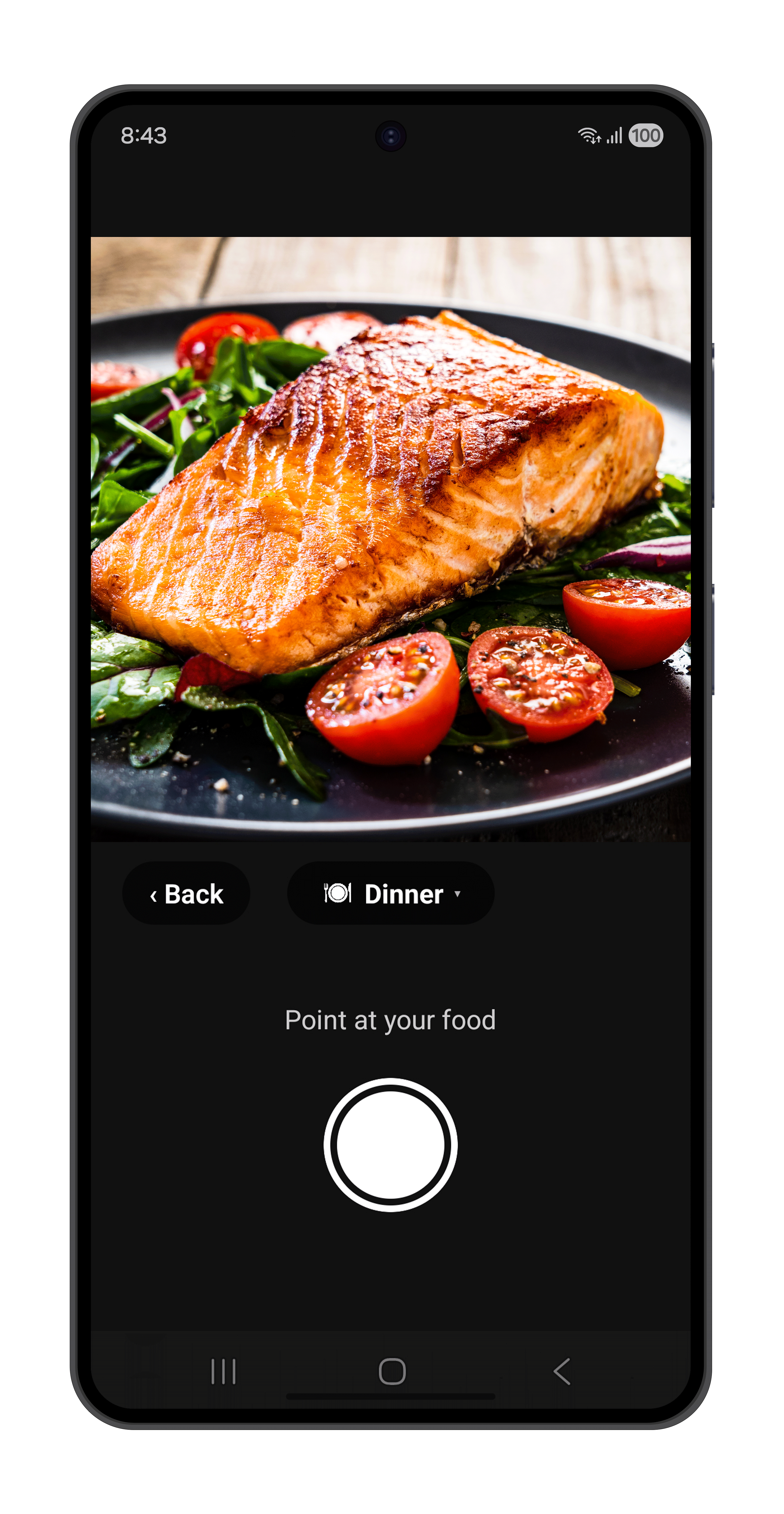 Viscalo camera scanning